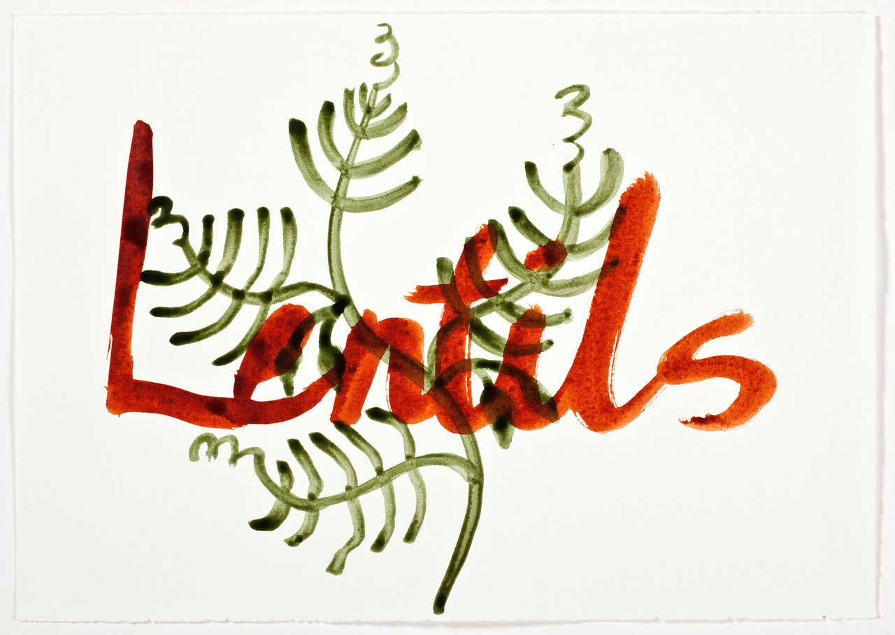 Artwork with green leaves and the word "lentils" in red.