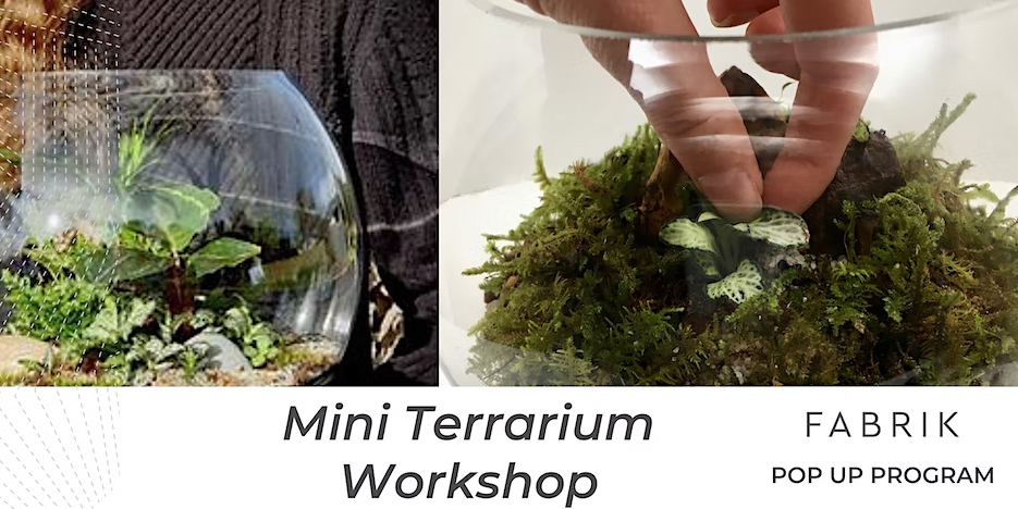 Image shows two photos. One show a glass bowl with green plants inside. Two shows a hand reaching inside a green terrarium. Text reads: Mini Terrarium Workshop Fabrik pop up"